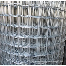 1*1 PVC Coated Holland Wire Mesh